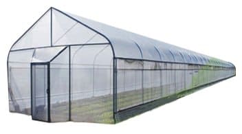 Invernadero MiniGreen de 6 x 5 metros a un tunel. Superficie de 30 m2 (estructura y cubierta) 6x5 (IVA 0%)