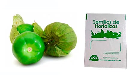 Gramo de Semilla de Tomate Verde var. Puebla (tasa 0%)